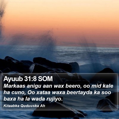 Ayuub 31:8 SOM Bible Verse Image