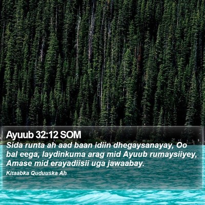 Ayuub 32:12 SOM Bible Verse Image