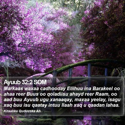 Ayuub 32:2 SOM Bible Verse Image