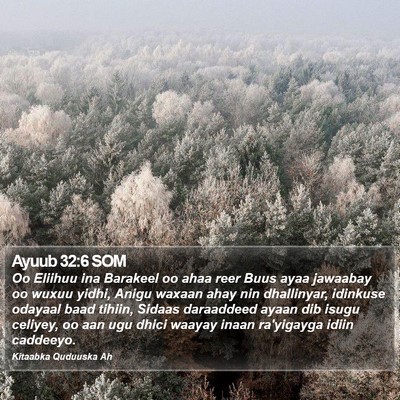 Ayuub 32:6 SOM Bible Verse Image
