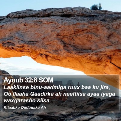 Ayuub 32:8 SOM Bible Verse Image