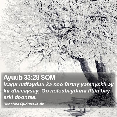 Ayuub 33:28 SOM Bible Verse Image