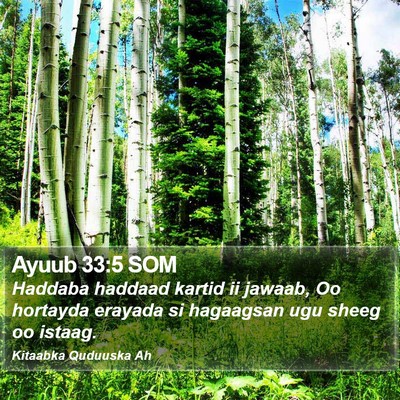 Ayuub 33:5 SOM Bible Verse Image