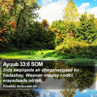 Ayuub 33:8 SOM Bible Verse Image