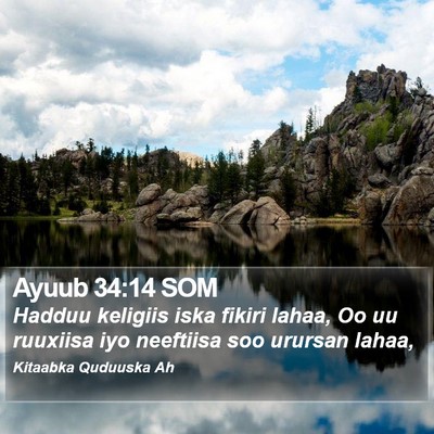 Ayuub 34:14 SOM Bible Verse Image