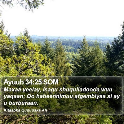 Ayuub 34:25 SOM Bible Verse Image