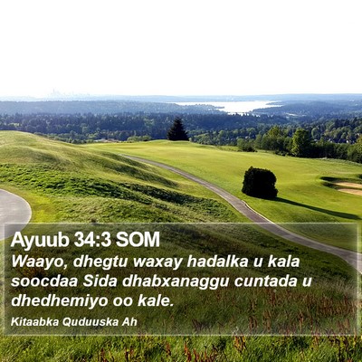 Ayuub 34:3 SOM Bible Verse Image
