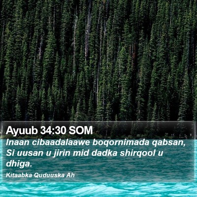 Ayuub 34:30 SOM Bible Verse Image