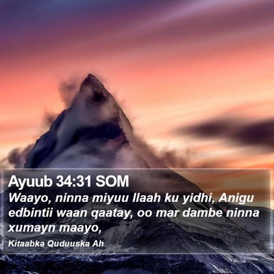 Ayuub 34:31 SOM Bible Verse Image