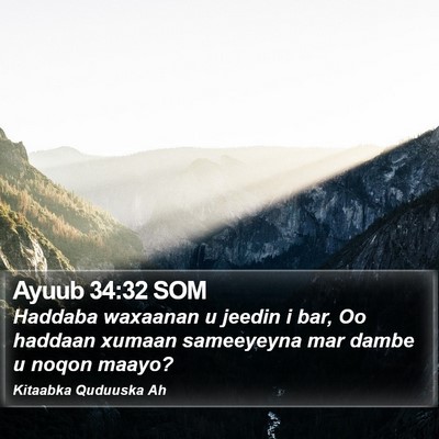 Ayuub 34:32 SOM Bible Verse Image