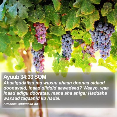 Ayuub 34:33 SOM Bible Verse Image