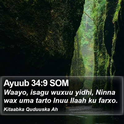 Ayuub 34:9 SOM Bible Verse Image