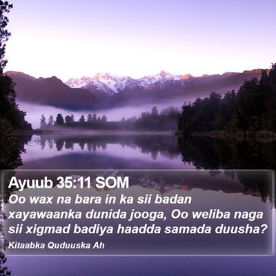 Ayuub 35:11 SOM Bible Verse Image