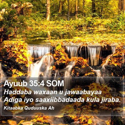 Ayuub 35:4 SOM Bible Verse Image