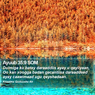 Ayuub 35:9 SOM Bible Verse Image