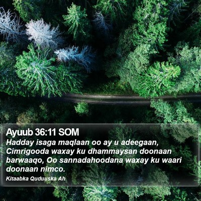 Ayuub 36:11 SOM Bible Verse Image