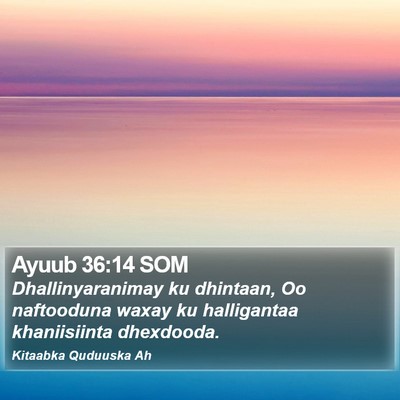 Ayuub 36:14 SOM Bible Verse Image