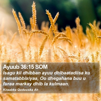 Ayuub 36:15 SOM Bible Verse Image