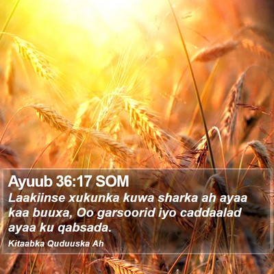 Ayuub 36:17 SOM Bible Verse Image