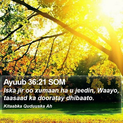 Ayuub 36:21 SOM Bible Verse Image