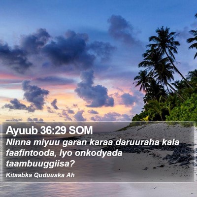 Ayuub 36:29 SOM Bible Verse Image