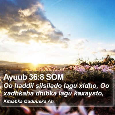Ayuub 36:8 SOM Bible Verse Image