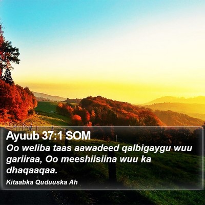 Ayuub 37:1 SOM Bible Verse Image