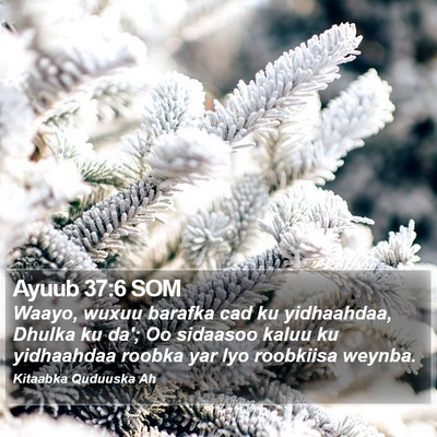 Ayuub 37:6 SOM Bible Verse Image