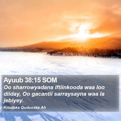 Ayuub 38:15 SOM Bible Verse Image
