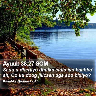 Ayuub 38:27 SOM Bible Verse Image