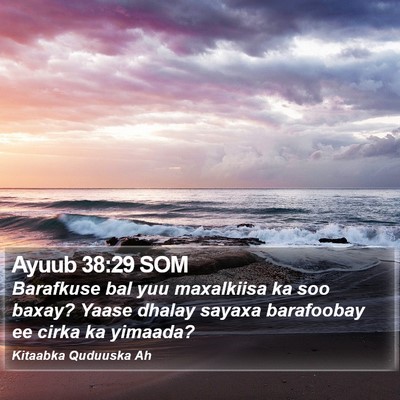 Ayuub 38:29 SOM Bible Verse Image
