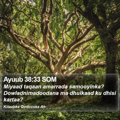 Ayuub 38:33 SOM Bible Verse Image