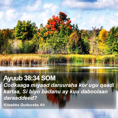 Ayuub 38:34 SOM Bible Verse Image