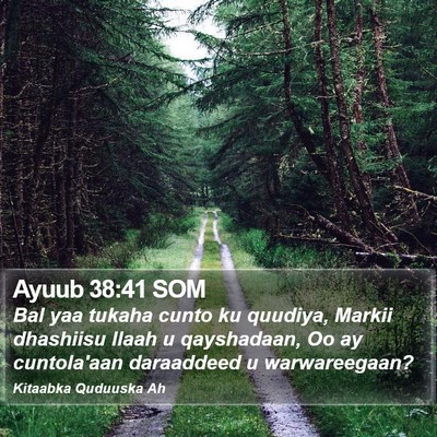 Ayuub 38:41 SOM Bible Verse Image