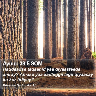 Ayuub 38:5 SOM Bible Verse Image