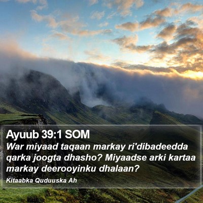 Ayuub 39:1 SOM Bible Verse Image