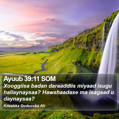 Ayuub 39:11 SOM Bible Verse Image