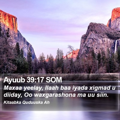 Ayuub 39:17 SOM Bible Verse Image
