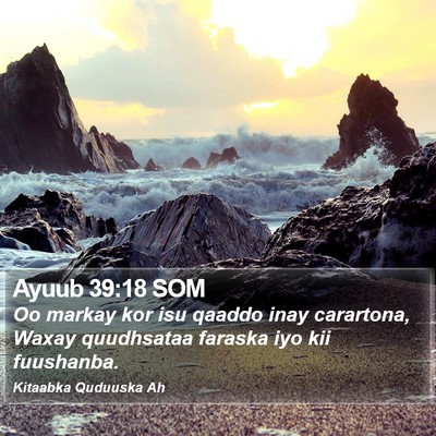 Ayuub 39:18 SOM Bible Verse Image