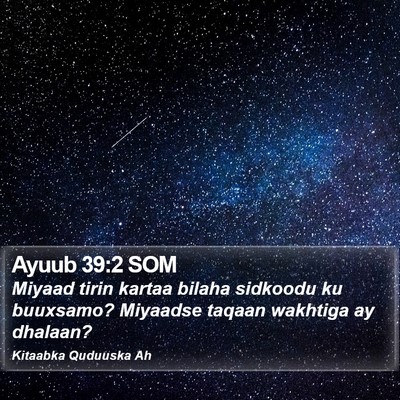 Ayuub 39:2 SOM Bible Verse Image