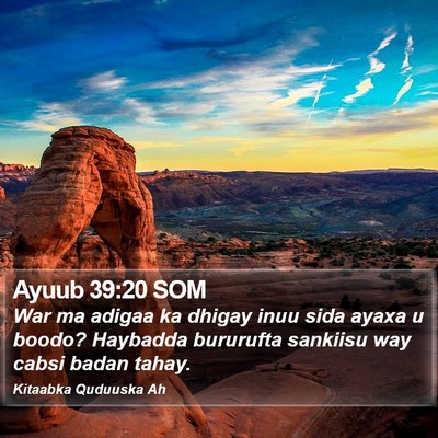 Ayuub 39:20 SOM Bible Verse Image