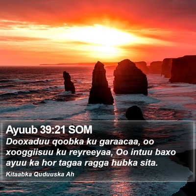 Ayuub 39:21 SOM Bible Verse Image