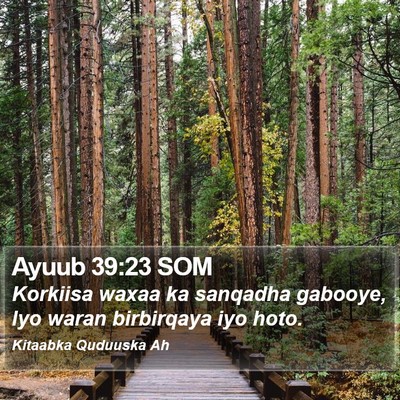 Ayuub 39:23 SOM Bible Verse Image