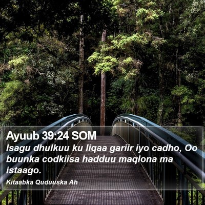 Ayuub 39:24 SOM Bible Verse Image