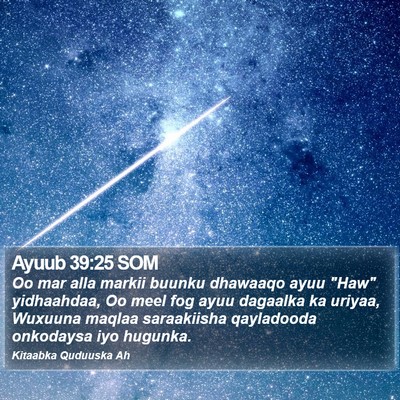 Ayuub 39:25 SOM Bible Verse Image