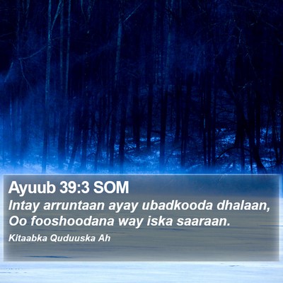 Ayuub 39:3 SOM Bible Verse Image