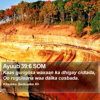 Ayuub 39:6 SOM Bible Verse Image