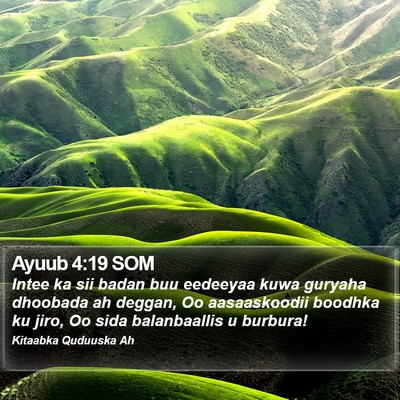 Ayuub 4:19 SOM Bible Verse Image