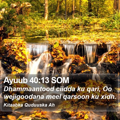 Ayuub 40:13 SOM Bible Verse Image