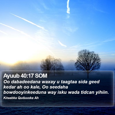 Ayuub 40:17 SOM Bible Verse Image